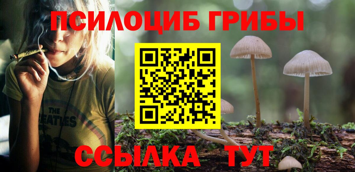 Псилоцибиновые грибы ЛСД  Вход с VPN  Волхов 