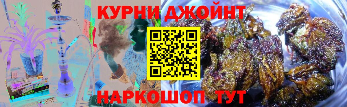 Шишки марихуана конопля  Вход с VPN  МАРИХУАНА SATIVA & INDICA  Бошки Шишки конопля  Волхов  Канабис планчик 